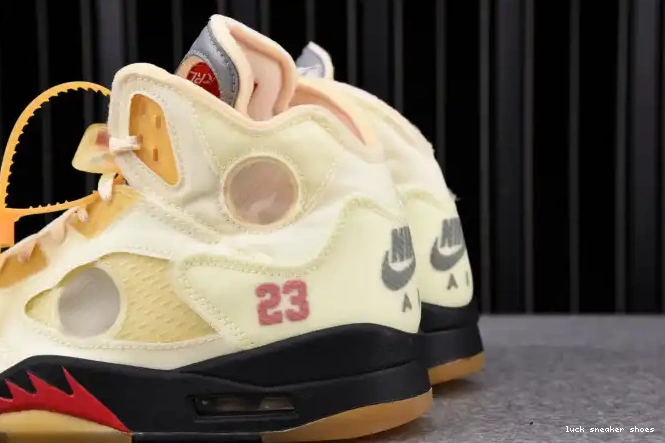 Reps LUCY 5 Jordan Retro DH8565-100 OFF-WHITE Sail 0624